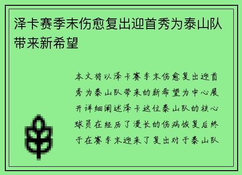 泽卡赛季末伤愈复出迎首秀为泰山队带来新希望 泽卡赛季末伤愈复出迎首秀为泰山队带来新希望